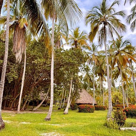 Playa Bonita Ecohotel Pet-Friendly Buritaca Exterior foto